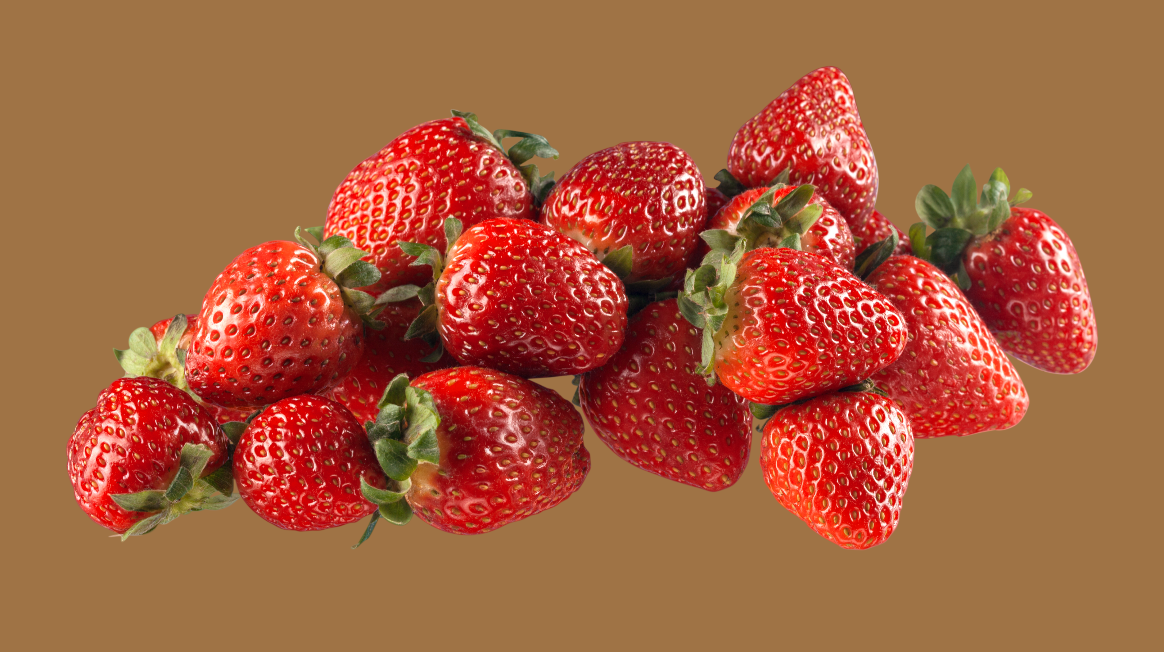 Strawberry Fans